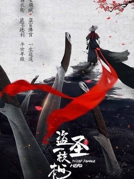 盗圣一枝梅剧情介绍_天天影视