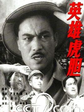 英雄虎胆剧情介绍_天天影视