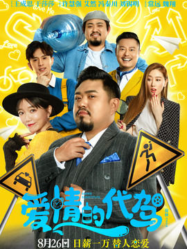 爱情的代驾剧情介绍_天天影视