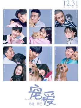 宠爱剧情介绍_天天影视