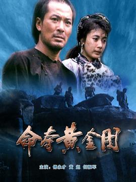 命夺黄金图剧情介绍_天天影视