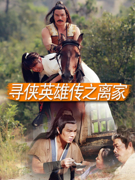 寻侠英雄传之护花剧情介绍_天天影视