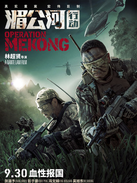 湄公河行动剧情介绍_天天影视
