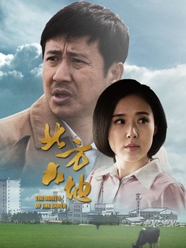 北方大地剧情介绍_天天影视