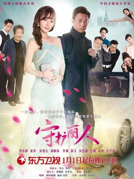 守护丽人剧情介绍_天天影视