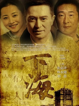 下海剧情介绍_天天影视