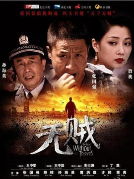 无贼剧情介绍_天天影视