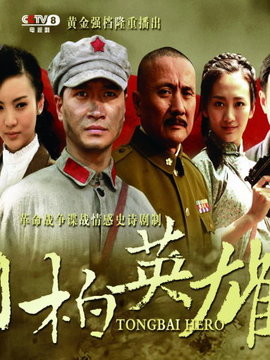 桐柏英雄剧情介绍_天天影视
