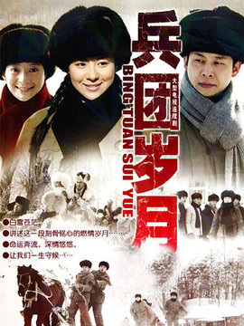 兵团岁月剧情介绍_天天影视