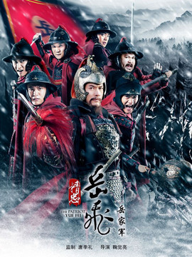 精忠岳飞剧情介绍_天天影视