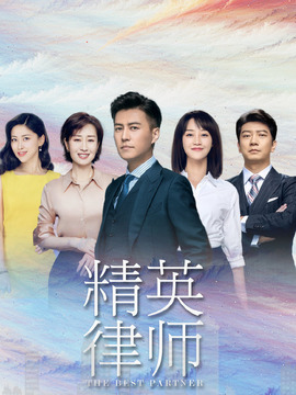 精英律师剧情介绍_天天影视
