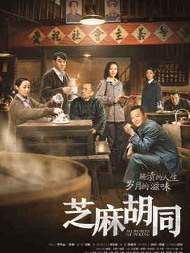 芝麻胡同剧情介绍_天天影视