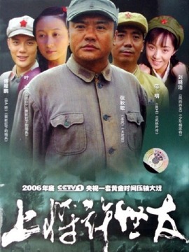 上将许世友剧情介绍_天天影视