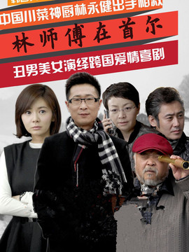 林师傅在首尔剧情介绍_天天影视