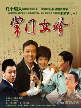 掌门女婿剧情介绍_天天影视