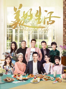 美好生活剧情介绍_天天影视