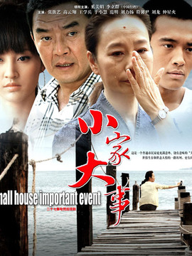 小家大事剧情介绍_天天影视