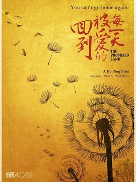 回到被爱的每一天剧情介绍_天天影视