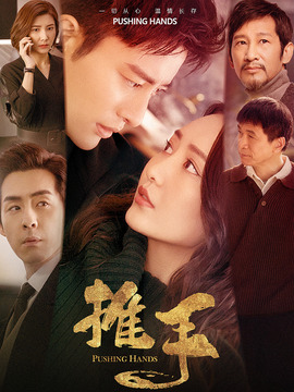 推手剧情介绍_天天影视