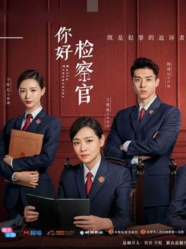 你好检察官剧情介绍_天天影视