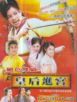 皇后进宫剧情介绍_天天影视