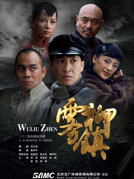 雾柳镇剧情介绍_天天影视