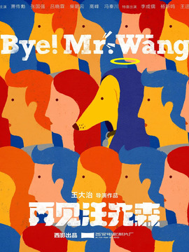 再见汪先森剧情介绍_天天影视