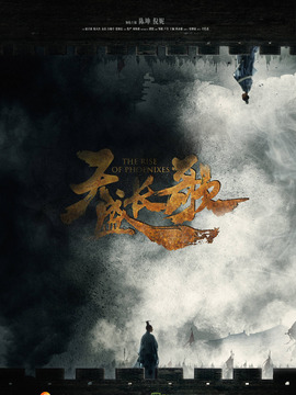 天盛长歌剧情介绍_天天影视