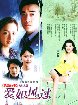 爱如风过剧情介绍_天天影视