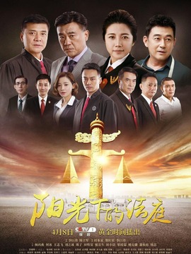 阳光下的法庭剧情介绍_天天影视