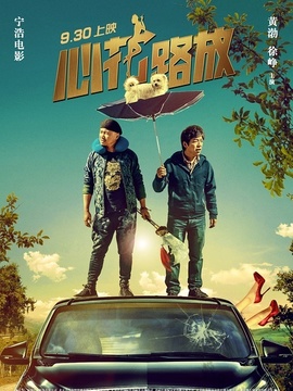 心花路放剧情介绍_天天影视