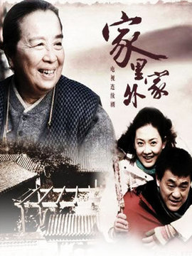家里家外剧情介绍_天天影视