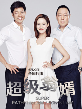 超级翁婿剧情介绍_天天影视