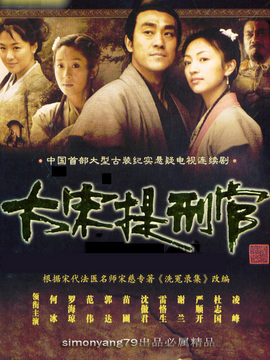 大宋提刑官剧情介绍_天天影视