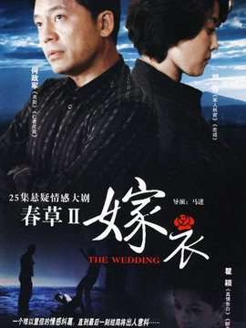 嫁衣剧情介绍_天天影视