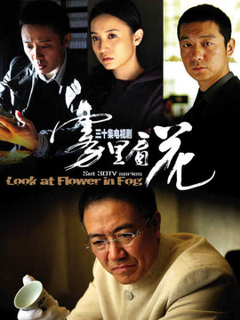 雾里看花剧情介绍_天天影视