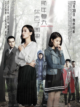 那年夏天你去了哪里剧情介绍_天天影视