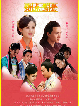 错点鸳鸯剧情介绍_天天影视