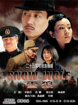 雪狼剧情介绍_天天影视