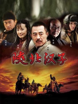 陕北汉子剧情介绍_天天影视