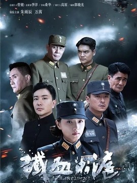 铁血淞沪剧情介绍_天天影视