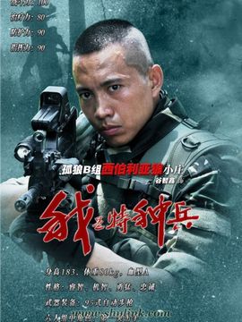 我是特种兵剧情介绍_天天影视