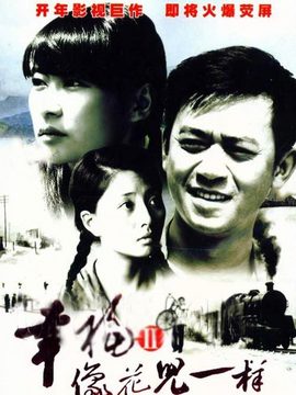 桃花灿烂剧情介绍_天天影视