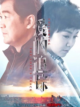 爱的追踪剧情介绍_天天影视