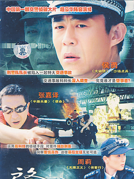 肇事追踪剧情介绍_天天影视