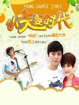 小夫妻时代剧情介绍_天天影视