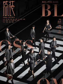 盛装剧情介绍_天天影视