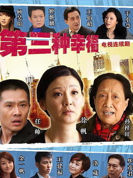 第三种幸福剧情介绍_天天影视