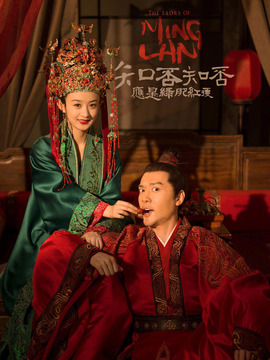 知否知否应是绿肥红瘦剧情介绍_天天影视