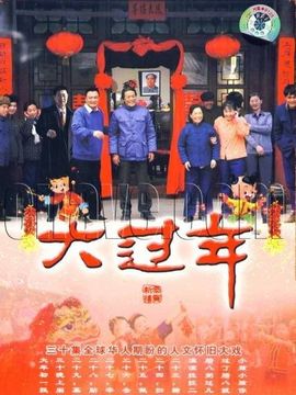 大过年剧情介绍_天天影视